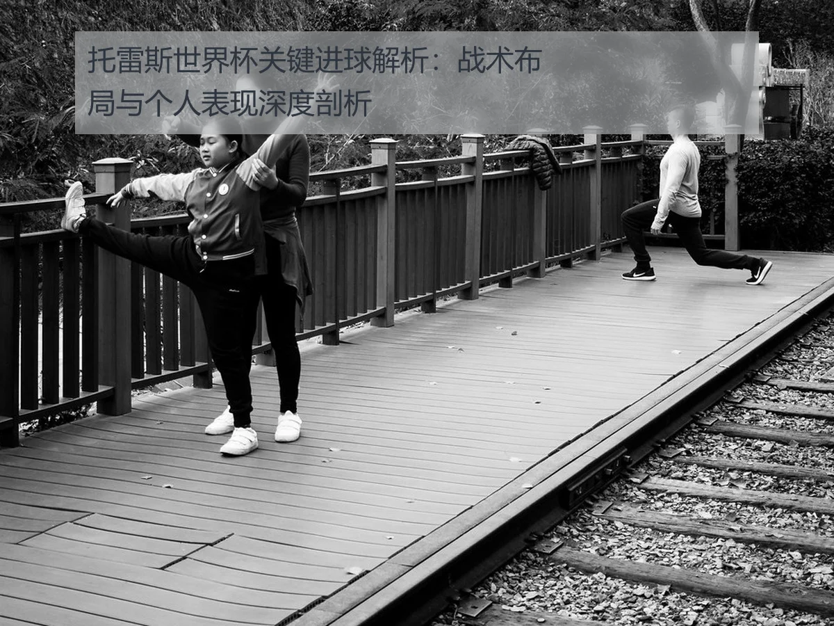 托雷斯世界杯关键进球解析:战术布局与个人表现深度剖析